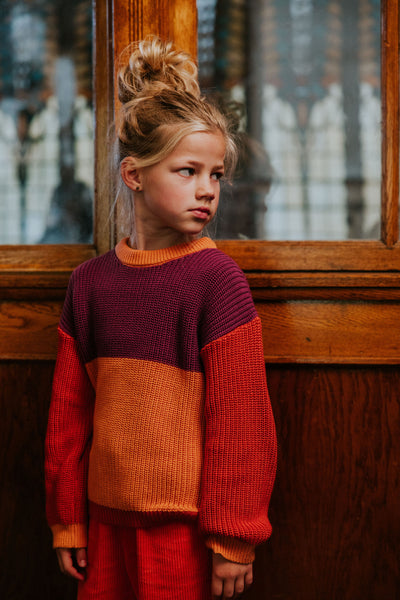 Color Block Sweater – parrot