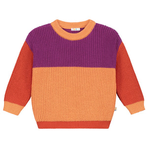 Color Block Sweater – parrot