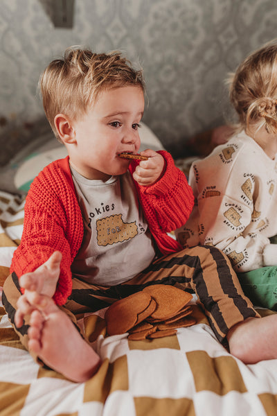 T-Shirt Cookies – dove