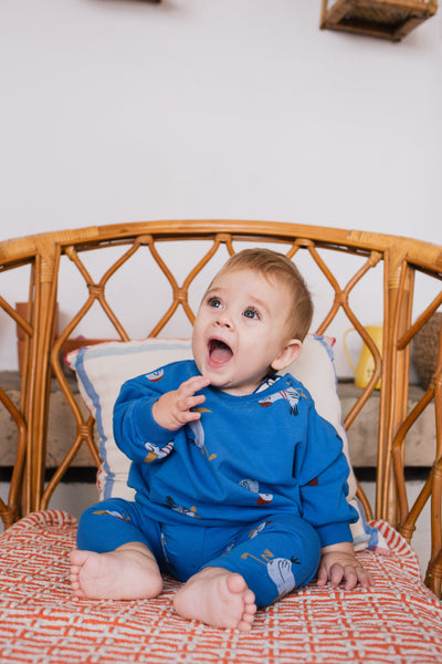 Seagulls Baby Leggings – royal blue