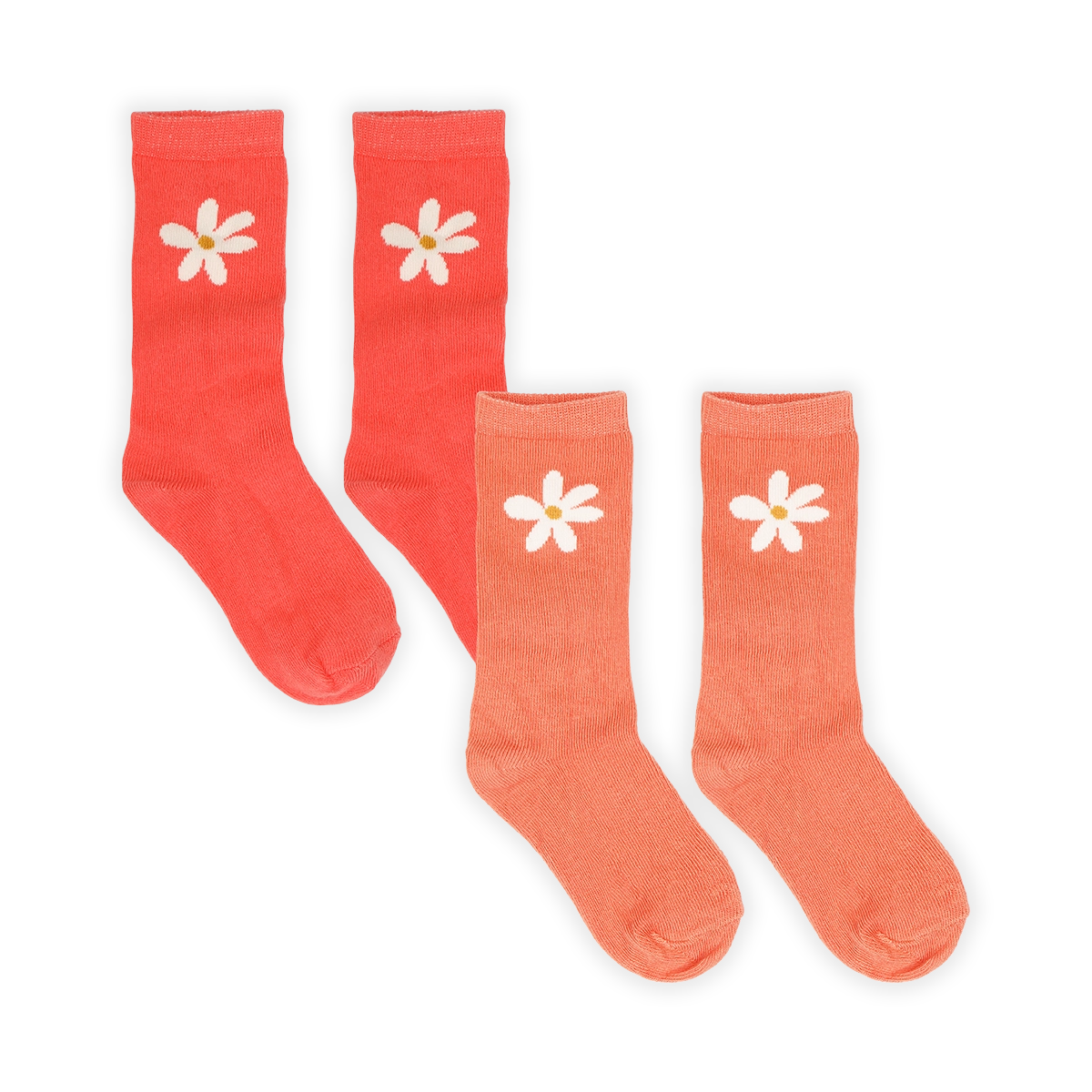 Socks Daisy – rose petal – 2 pack