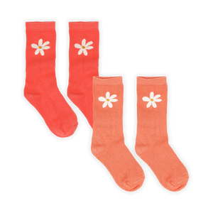 Socks Daisy – rose petal – 2 pack