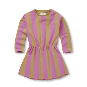 Skater Dress Block Stripe – purple pink