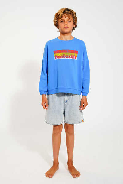 Sweatshirt Blue – "Fantastic" print